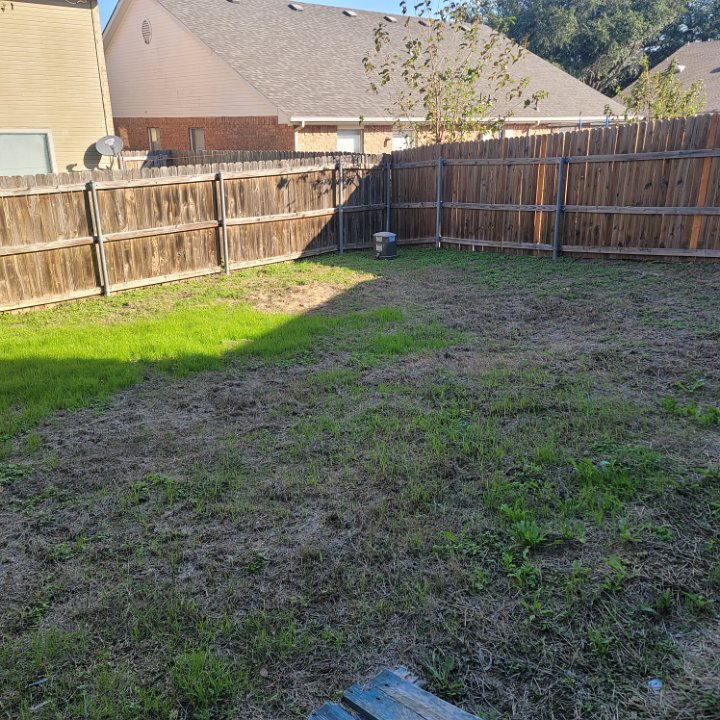 Back yard
